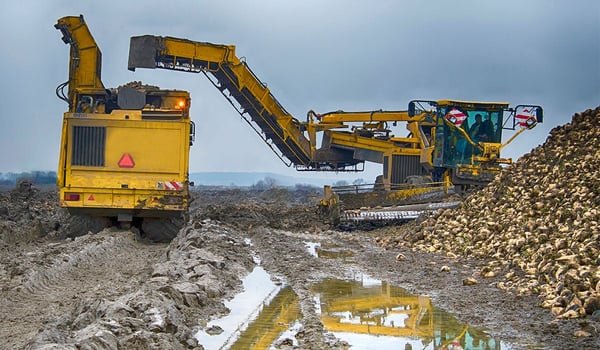 Managing soil recovery after the beet harvest