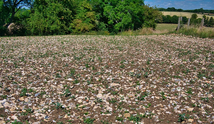 Silex soils are abrasive for agricultural tyres