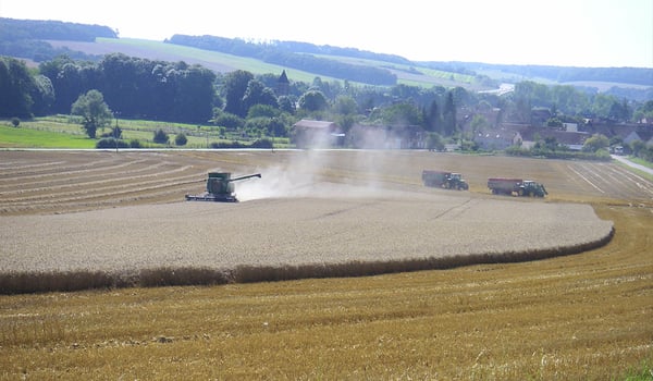Everything you need to know about soil restoration after the harvest